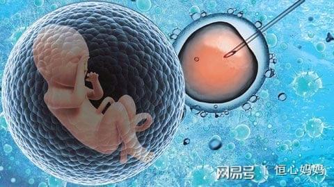 赵主任